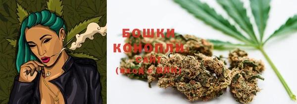 молекула духа Богородск