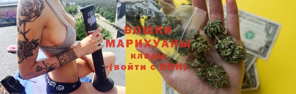 молекула духа Богородск