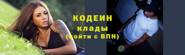 молекула духа Богородск