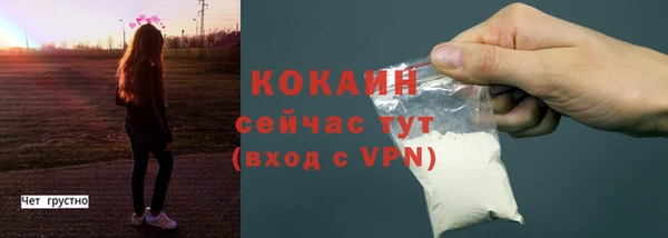 молекула духа Богородск