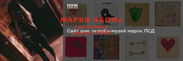 молекула духа Богородск