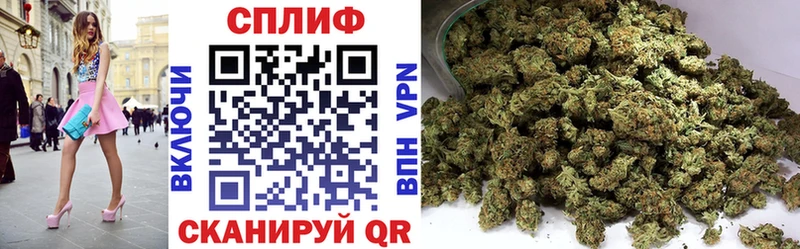 Каннабис планчик  хочу   Майкоп 